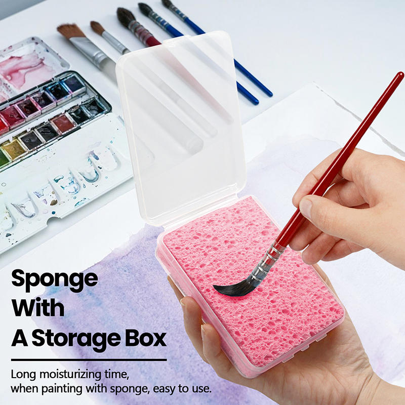 Verpackter Aquarell-Pigment-Re – Eco Sponge Bewertung und Preis